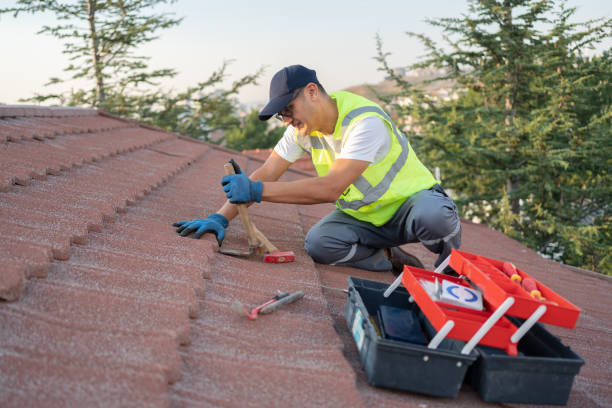 Best Emergency Roof Repair  in Leesburg, OH
