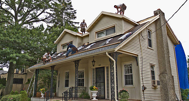 Roof Gutter Cleaning in Leesburg, OH
